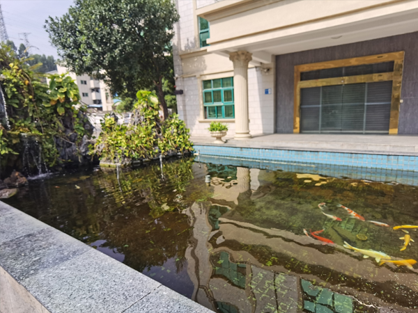 风水鱼池